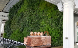 Ala Restaurant Green Wall